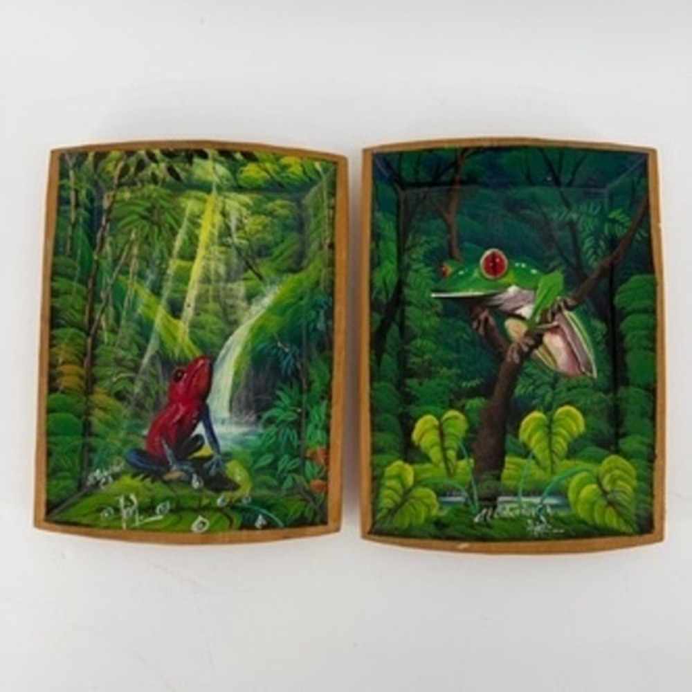 Set of 2 Ariel Hand Painted Wood Frog Trays El Salvador Rainforest Art